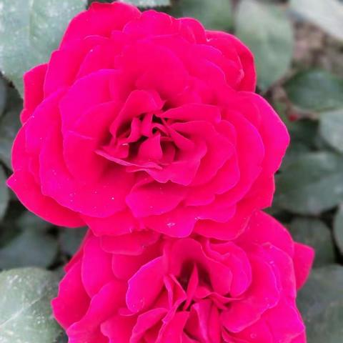 时间煮雨的美篇