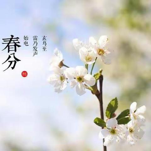一样的春分，不一样的我们