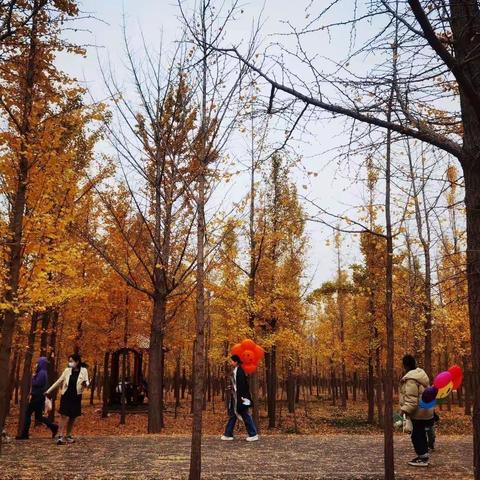 善待生命的每一天