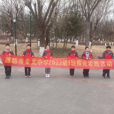身边的大自然——城市“留鸟”观察记