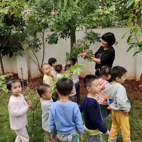 萌思爱童幼儿园木棉苑第9-10周纪录片