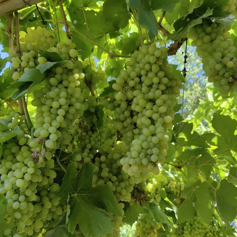 去一个有风的地方（上）