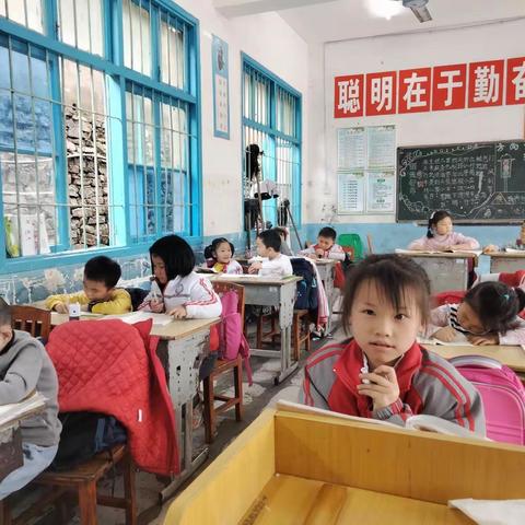 5.1特招班！赵永华书法练字长年招生开始啦！随来随学，赶紧报名学习吧！