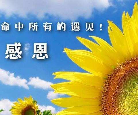 冬情感恩，暖意入怀——金童年民族分园大三班感恩节主题活动