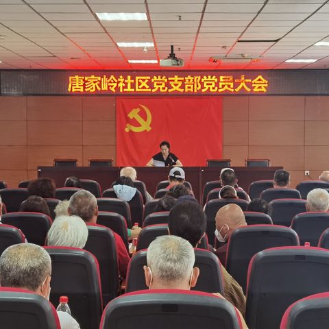 汲取新力量 焕发新活力——唐家岭社区党支部召开接收预备党员党员大会