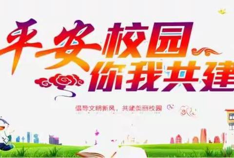 “做自己的首席安全官——平安校园行”——新丰镇第二初级中学