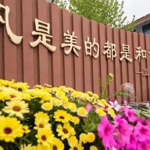 ✨心之所向 一苇以航——💫薛城区北临城小学语文组学历案提升培🌟