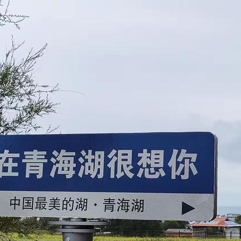 雨中漫步青海湖