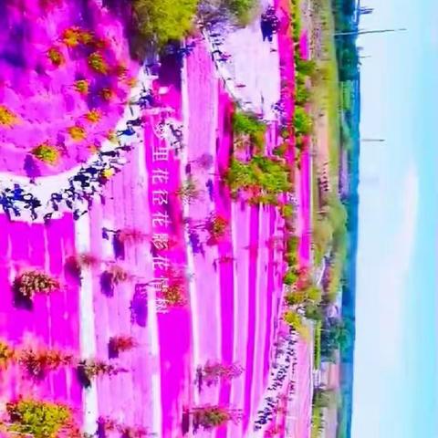 油田碳综合生态园