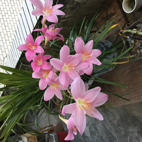 暑假开心作文班花絮