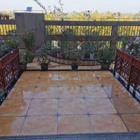 春华秋实    烟雨红尘