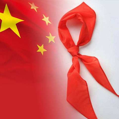 红领巾心向党，队旗伴我共成长——博奥小学2019级2班入队仪式