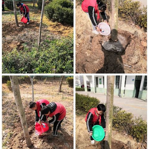 姚村镇席厂小学——“植绿护绿，做绿色使者”植树节主题活动