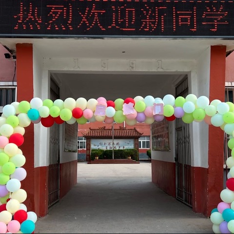 “你好，新同学！”濮城镇中心小学一年级入学仪式