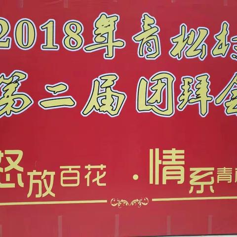 四川省盐亭县八角镇会真青松村第二届团拜会