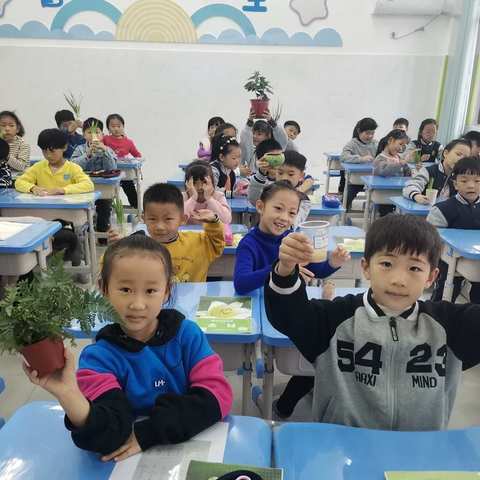 生命的期盼—金明实验小学西校区科学种植记