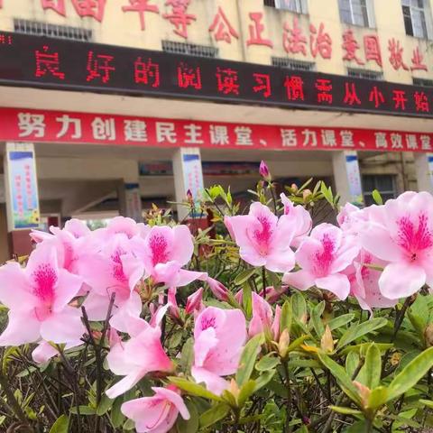 在比赛中成长，在诗意中漫溯——振兴学校小学语文组赛课纪实