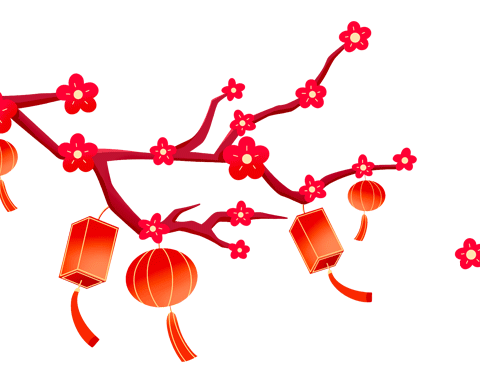 精彩不断   成长无限