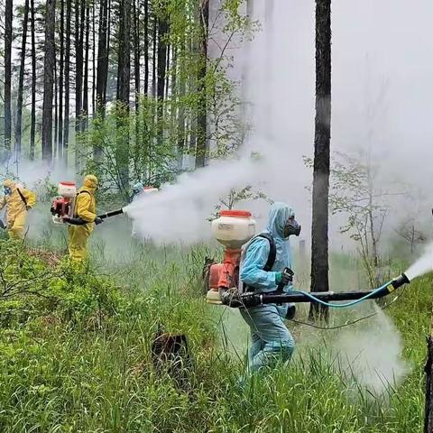 新春快乐，万事如意———                      致敬务林人