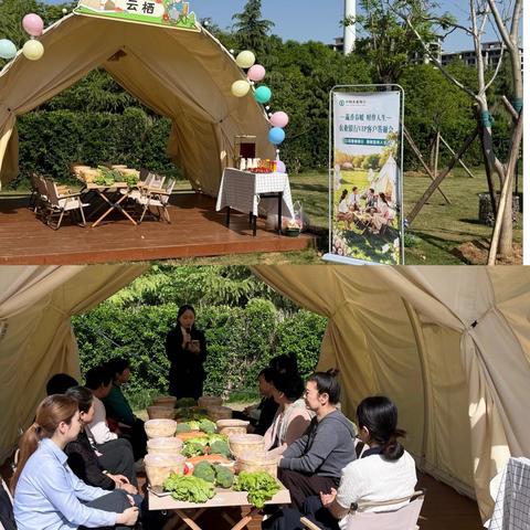中国农业银行伊川县支行举办“蔬香春暖，财伴人生 ”客户答谢活动