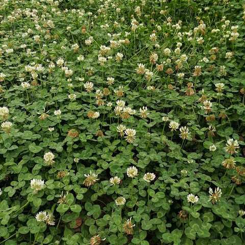 庐陵学校2021年秋一6班首期书法节活动