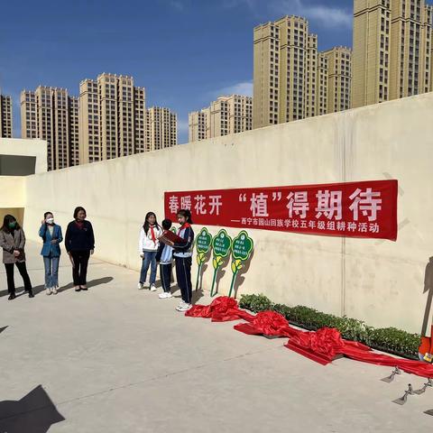 春暖花开·‘植’得期待——我是小小种植家