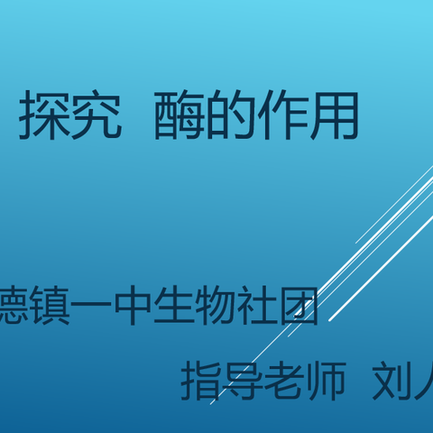 景德镇一中生物社团探究活动——酶的作用