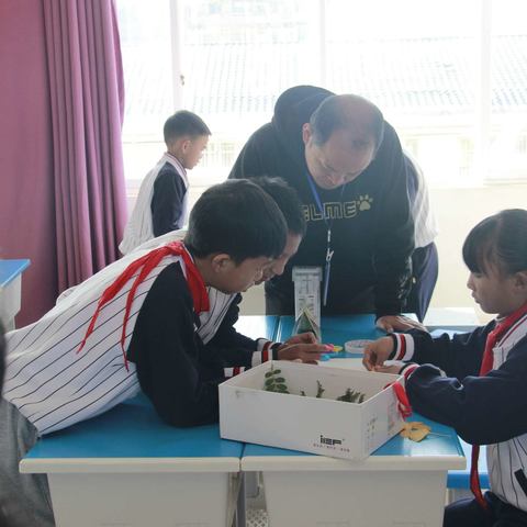 践行学本课堂新模式  聚焦学科核心亮新招                   ——砚山县第三小学教学研修侧记