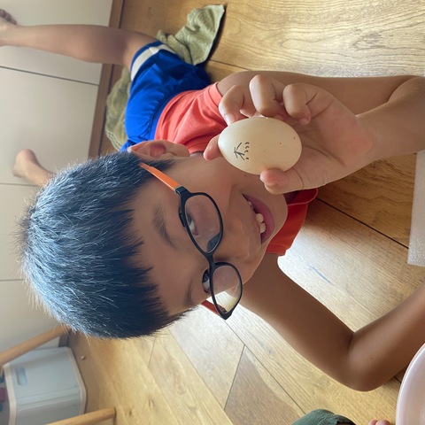 【温州蒲州育英学校科学部落格】小鸡、小鸭孵化日志集