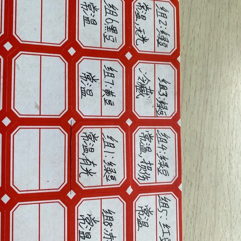 种子萌发的故事