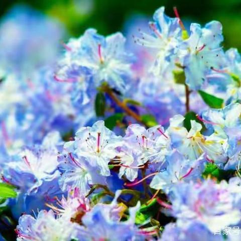 把日子过成一首诗