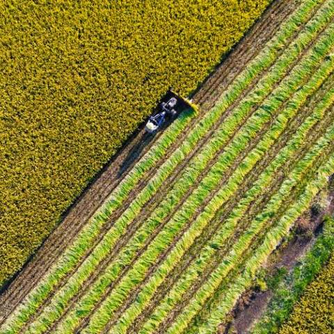 “抢”字当头，全力以赴战三秋