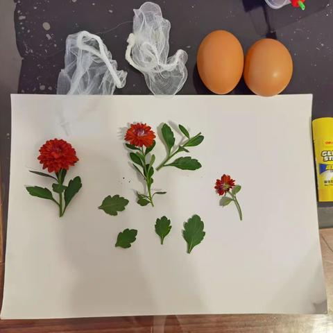 【onion dye】万思乐学V-learn小西妈双语工程1906期+177Judy 打卡D155