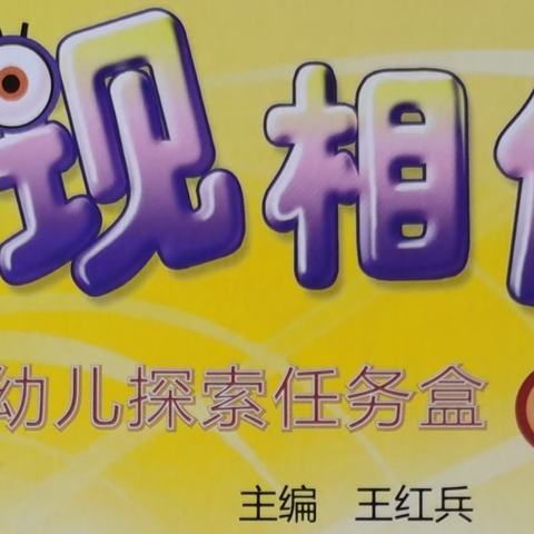 南京威尼斯弘德幼儿园小二班《发现相似》