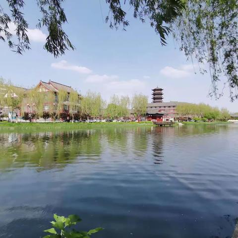 疫散春来*^O^*小骑士畅游南阳河