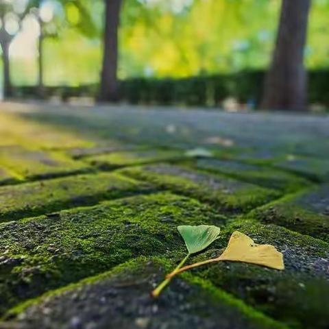 秋已至，暑未消，安全生产防范意识要提高