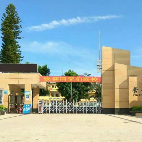放飞梦想    从这里开始――营镇小学2018-2019学年度第二学期开学典礼暨安全教育大会