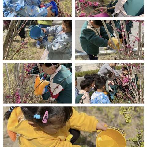 【五小附设园】捧一抹新绿 不负春光—植树节活动