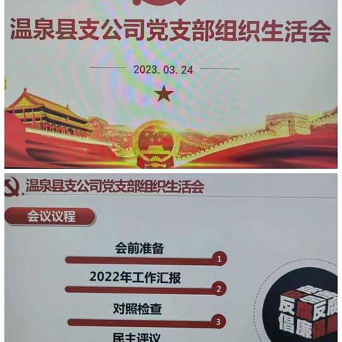 温泉县支公司党支部召开2022年度组织生活会和开展明主评议党员