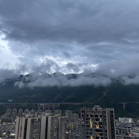 晴日亲游，欢情幽藏