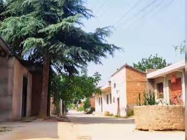 老村记忆-武功尚家坡村