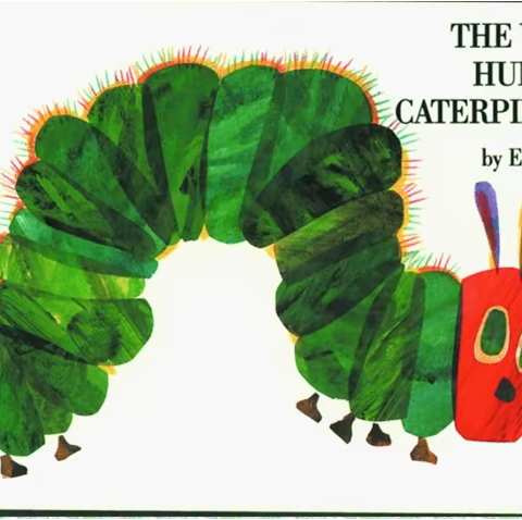 《好饿的毛毛虫》🐛——中九班绘本主题活动