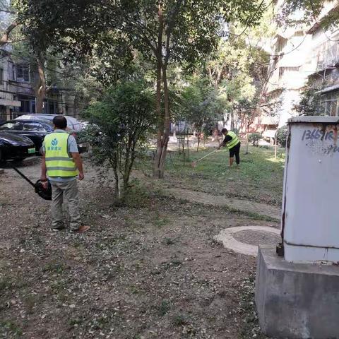 民航社区美化小区环境 助力文明城市创建