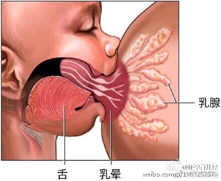 助力母乳喂养    奠定良好开端
           潜江市妇幼保健院
           妇保科一直在行动