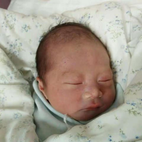 大宝贝成长记（一）