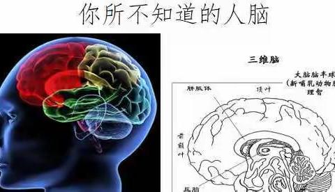 锦玉中学“健脑操”，让学习更轻松更科学！系列（一）