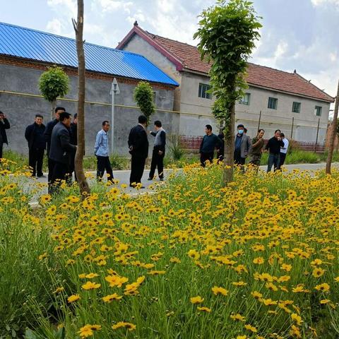 提升人居环境，创建花园式村庄