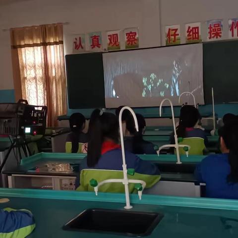 爱国电影进校园，爱国信念植心间——塔山街道办南岸小学组织观看红色爱国主义电影活动