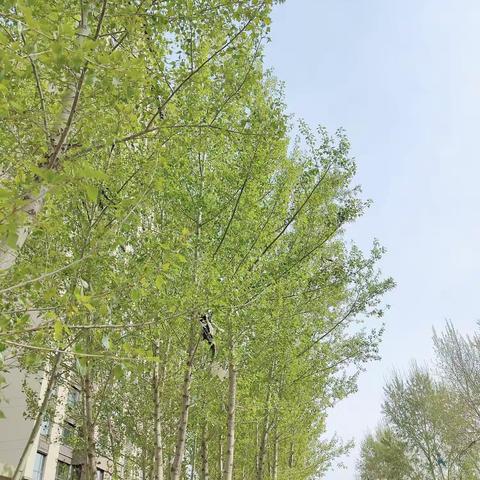 书