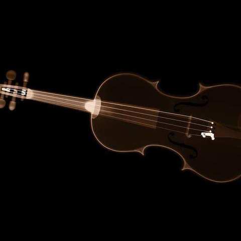 西安市第七十一中学“停课不停教，停课不停学”初二音乐欣赏（四）